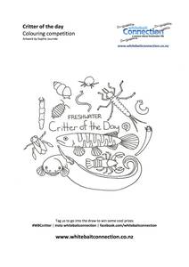 thumb WBC Critter of the day colouring sheet 